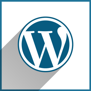 icone wordpress flat design